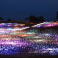 Iluminación de fibra óptica Iluminación de paisaje al aire libre para vacaciones